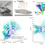 Study Uncovers How Silkworm Moth’s Odor Detection May Improve Robotics