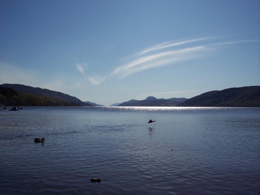 Community to explore buyout of stunning rewilding estate near Loch Ness