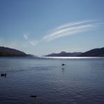 Community to explore buyout of stunning rewilding estate near Loch Ness